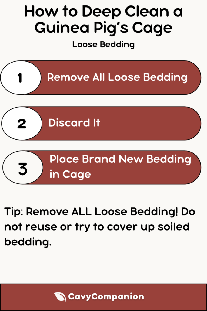 Step-by-step guide on how to clean a guinea pig's cage that has loose bedding.