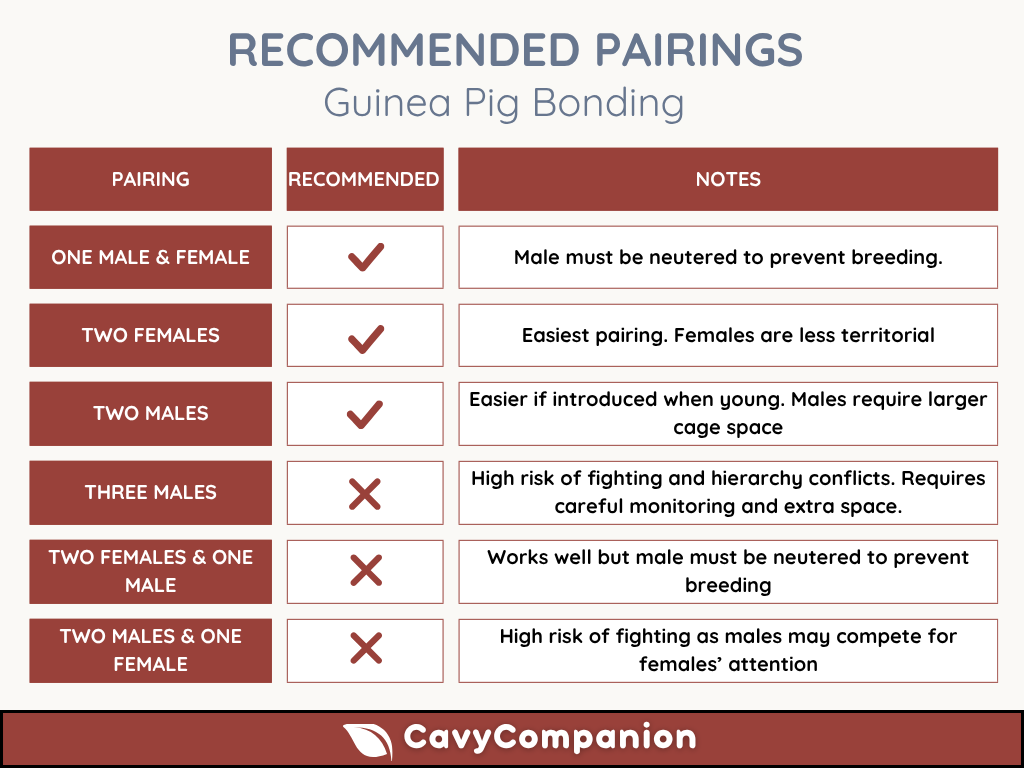 Comparison chart showing the chance of success of different guinea pig bond pairings.