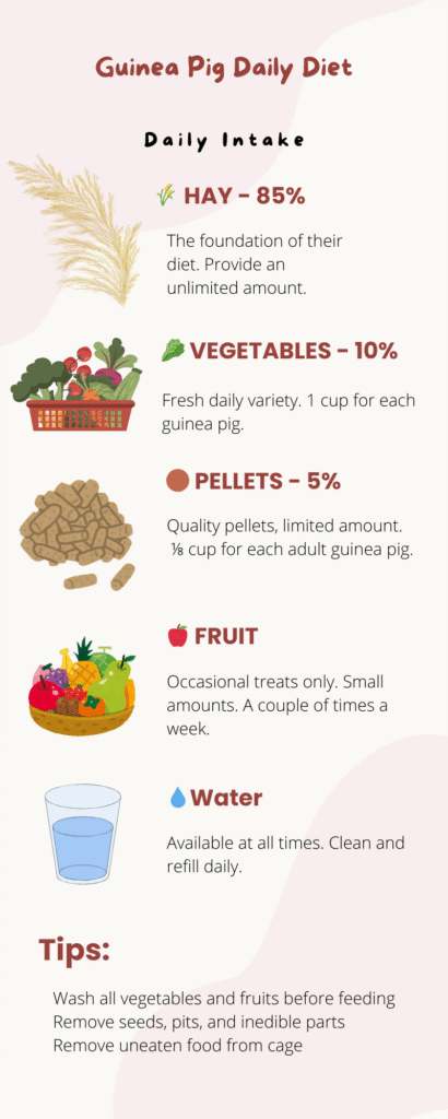 guinea pig diet chart