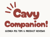 cavy companion logo